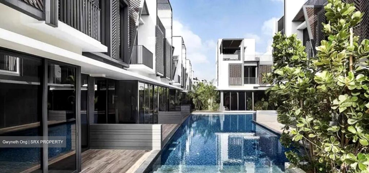 Sunrise Avenue (D28), Terrace #496755931